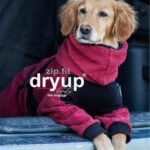 Action Factory Hundemantel Dryup Body zip