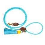 DWAM Hundeleine Türkis - S