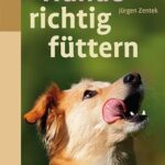 Hunde richtig füttern (eBook, PDF)