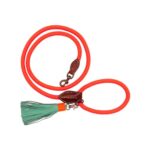 DWAM Hundeleine Carrot Cake - L