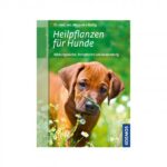 Heilpflanzen für Hunde