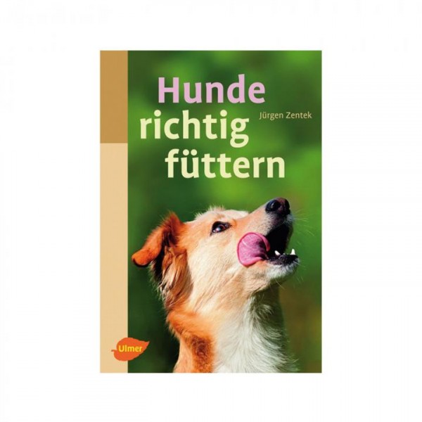 Hunde richtig füttern