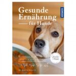 Gesunde Ernährung für Hunde
