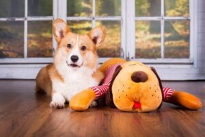 Ankuschelhund Tomte