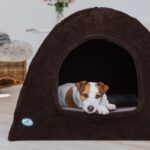 Hundehöhle zum KUDDE Hundebett: Iglu Berberfleece