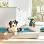 Einlage für Hundebett Kudde: Mumin Summertime