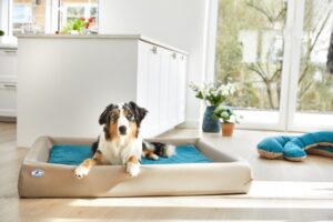 Einlage für Hundebett Kudde: Mumin Summertime