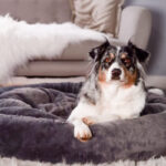 Hundekissen Snuggle Silktouch