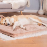 Hundeliegematte Jokkmokk SilkTouch