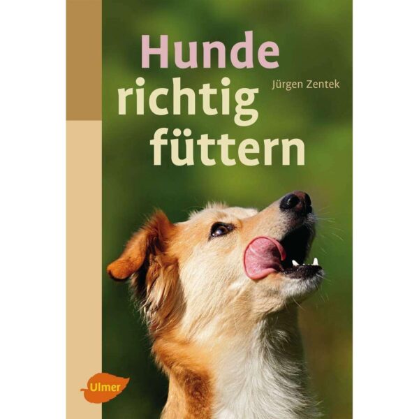 Hunde richtig füttern
