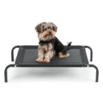 lionto Outdoor Hundeliege erhöht, stabile Haustierliege mit guter Luftzirkulation schützt vor Bodenkälte, 75x47 cm, Abnehmbarer Bezug aus atmungsaktivem Netzgewebe, robuster Metallrahmen, schwarz